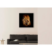 Load image into Gallery viewer, cuadro decorativo, decoración, sala, estudio, habitación, león, animal
