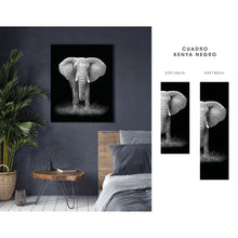 Load image into Gallery viewer, cuadro decorativo, decoración, sala, estudio, habitación, animal, elefante
